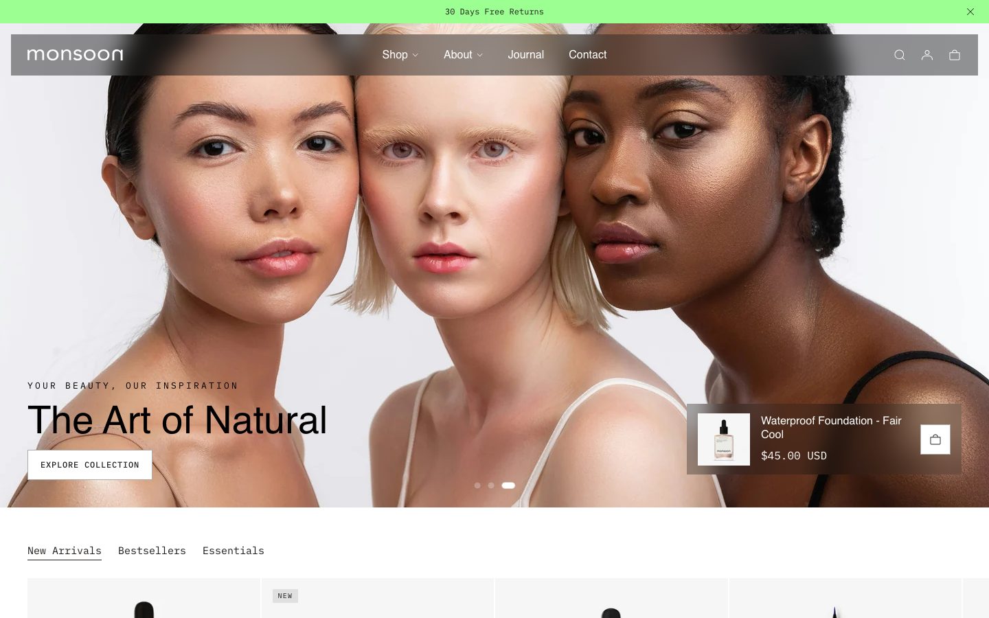 Monsoon preset home page on desktop